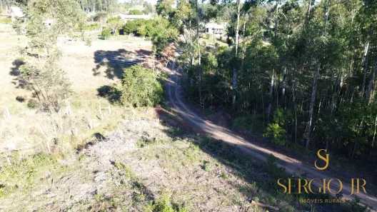 Fazenda/Sítio à venda, 20000m² no , Triunfo