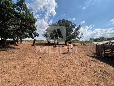 Fazenda/Sítio com 1 Quarto à venda, 6300m² no Cidade Jardim, Uberlândia