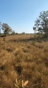 Fazenda/Sítio à venda, 1432m² no , São Félix do Araguaia