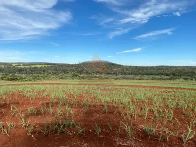 Fazenda/Sítio com 1 Quarto à venda, 1747966m² no Parque Industrial Antonio Guar, Ibaté