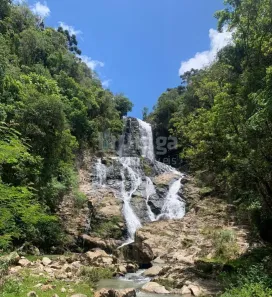 Fazenda/Sítio com 3 Quartos à venda, 530000m² no Taquaras, Rancho Queimado