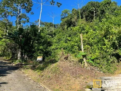 Lote/Terreno à venda, 390m² no Velha Central, Blumenau