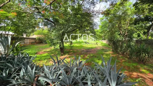 Fazenda/Sítio à venda, 2907m² no Vila Mauá, Goiânia