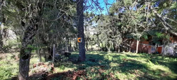 Lote/Terreno à venda, 2129m² no Moradias Bom Jesus, Campo Largo