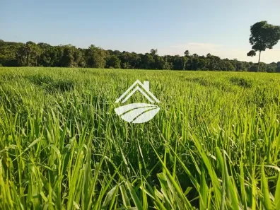 Fazenda/Sítio com 2 Quartos à venda, 1930000m² no , Estreito