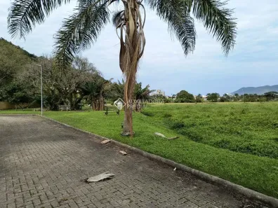 Lote/Terreno à venda, 403m² no Pântano do Sul, Florianópolis
