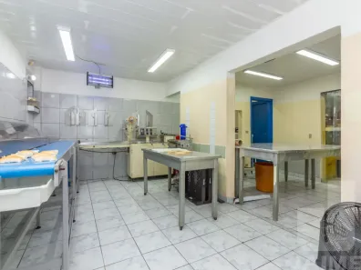 Imóvel Comercial com 4 Quartos à venda, 196m² no Sumaré, São Paulo