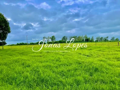 Fazenda/Sítio com 3 Quartos à venda, 242m² no , Iguaraçu