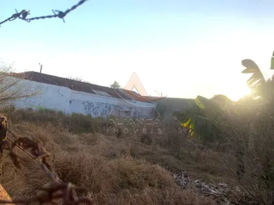 Lote/Terreno à venda, 743m² no Jardim Santa Luzia, Ribeirão Preto