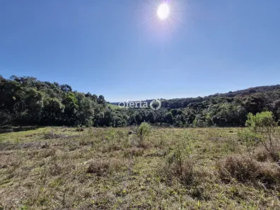 Fazenda/Sítio à venda, 20501m² no Área Rural de Araucária, Araucária