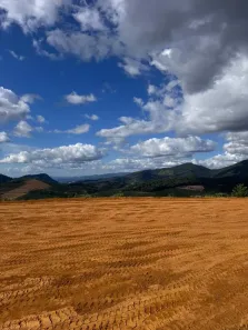 Lote/Terreno à venda, 1000m² no , Santa Teresa