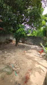 Casa com 2 Quartos à venda, 250m² no , Itaparica