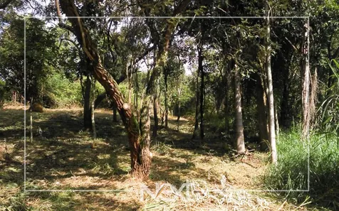 Lote/Terreno à venda, 1466m² no Joaquim Egídio, Campinas