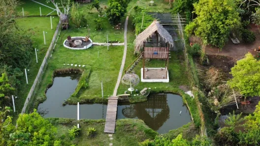 Fazenda/Sítio à venda, 1800m² no Centro, Terenos