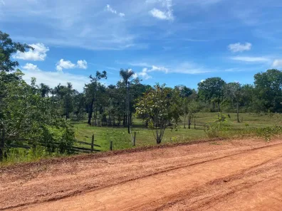 Fazenda/Sítio à venda, 800000m² no Zona Rural, Careiro