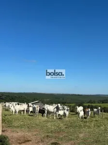 Fazenda/Sítio à venda, 1331000m² no Jardim Nasralla, Bauru
