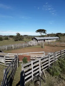 Fazenda/Sítio com 1 Quarto à venda, 3820000m² no Centro, São Francisco de Paula