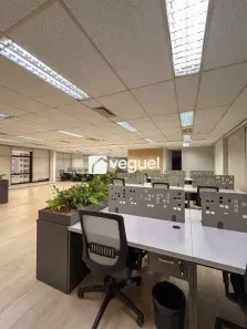 Sala Comercial para alugar, 340m² no Nova Campinas, Campinas