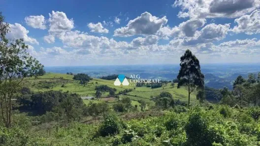 Lote/Terreno à venda, 20000m² no Jardim Guanabara, São João da Boa Vista