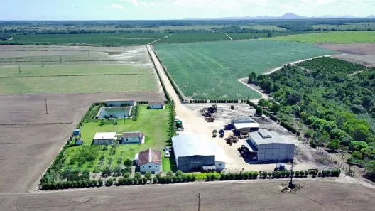 Casa com 6 Quartos à venda, 236000m² no , Porto Seguro
