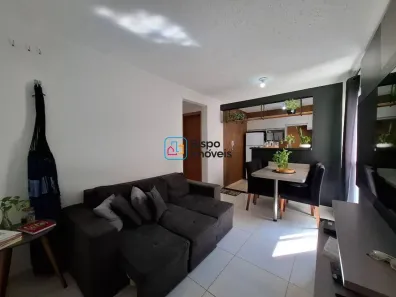 Apartamento com 2 Quartos à venda, 43m² no Jardim Terramérica III, Americana