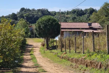 Fazenda/Sítio com 2 Quartos à venda, 9177m² no Área Rural (Areia Branca dos Assis), Mandirituba