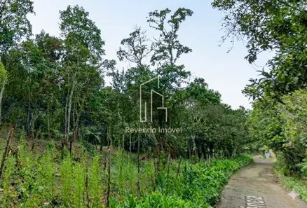 Lote/Terreno à venda, 550m² no Cidade Luz, São Paulo