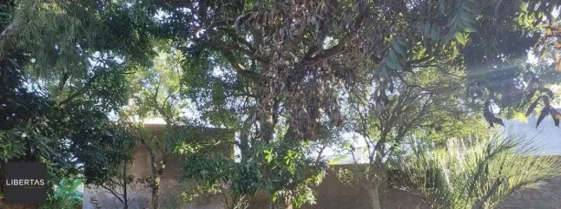 Lote/Terreno à venda, 836m² no Menino Deus, Porto Alegre