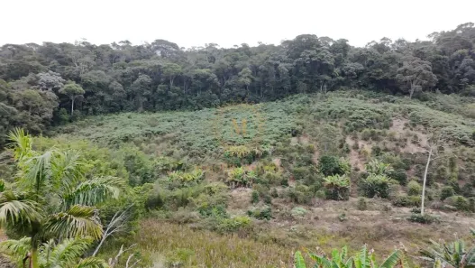 Lote/Terreno à venda, 20000m² no , Marechal Floriano