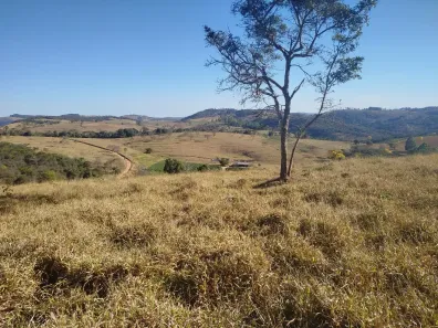 Fazenda/Sítio com 3 Quartos à venda, 900000m² no , Cláudio