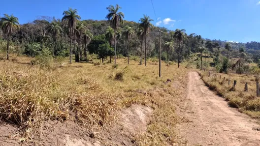Fazenda/Sítio à venda, 20000m² no Centro, Florestal