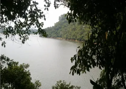 Fazenda/Sítio com 4 Quartos à venda, 800m² no Balneária, São Bernardo do Campo