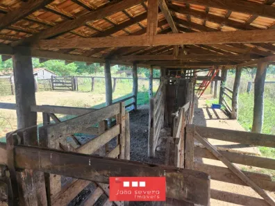 Fazenda/Sítio à venda, 41140000m² no , Cocalinho