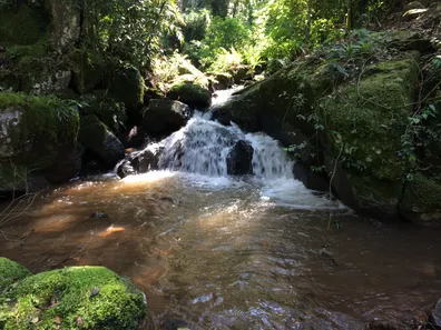 Fazenda/Sítio com 3 Quartos à venda, 6725m² no Linha Gorgen, Morro Reuter