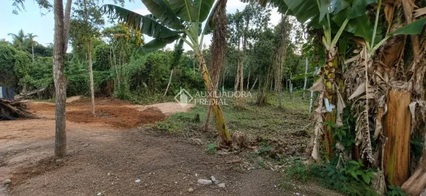 Lote/Terreno à venda, 360m² no Campeche, Florianópolis
