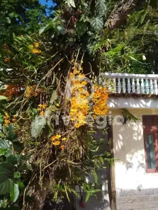 Sobrado com 6 Quartos à venda, 469m² no Jacarepaguá, Rio de Janeiro