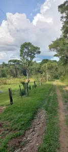Lote/Terreno à venda, 3000m² no , Piên