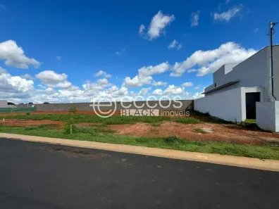 Lote/Terreno à venda, 331m² no Novo Mundo, Uberlândia