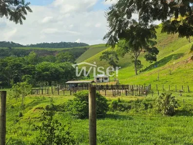Fazenda/Sítio com 2 Quartos à venda, 341m² no , Santana do Deserto