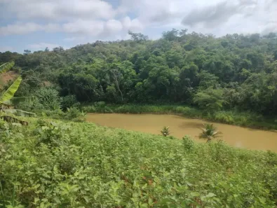 Fazenda/Sítio com 2 Quartos à venda, 300m² no Timbuí, Fundão