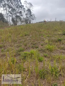 Lote/Terreno à venda, 1030m² no Governador Portela, Miguel Pereira