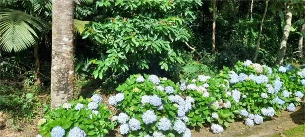 Lote/Terreno à venda, 923m² no Roseira, Mairiporã