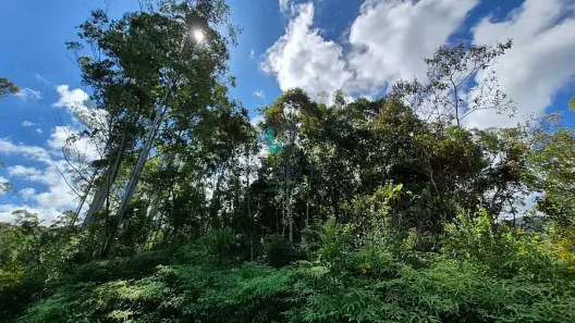 Fazenda/Sítio à venda, 2m² no Engenheiro Passos, Resende