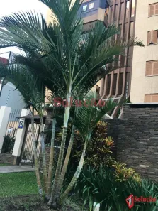 Cobertura com 3 Quartos à venda, 235m² no Marechal Rondon, Canoas