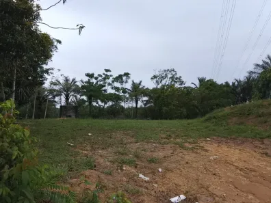 Lote/Terreno à venda, 81000m² no Distrito Industrial II, Manaus