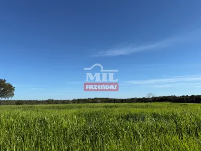 Fazenda/Sítio à venda, 1m² no , Santa Maria do Tocantins
