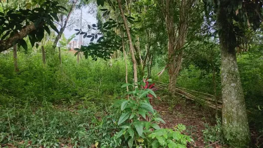 Lote/Terreno à venda, 125m² no Jardim Caparelli (Mailasqui), São Roque