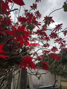Lote/Terreno à venda, 200m² no Parque Meia Lua, Jacareí