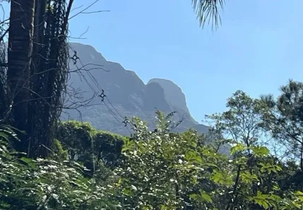 Lote/Terreno à venda, 5000m² no , Morretes