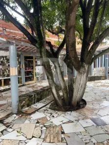 Casa com 3 Quartos à venda, 86m² no Robalo, Aracaju